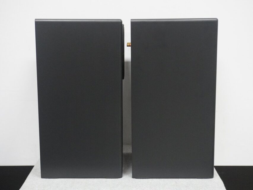 HASEHIRO AUDIO UMU-191M (ペア)バックロードホーンスピーカー